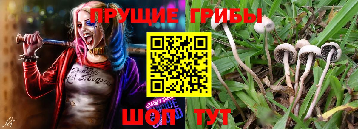 Псилоцибиновые грибы Magic Shrooms Подольск